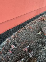 IMG_9711.jpeg