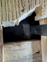 IMG_7411.JPG